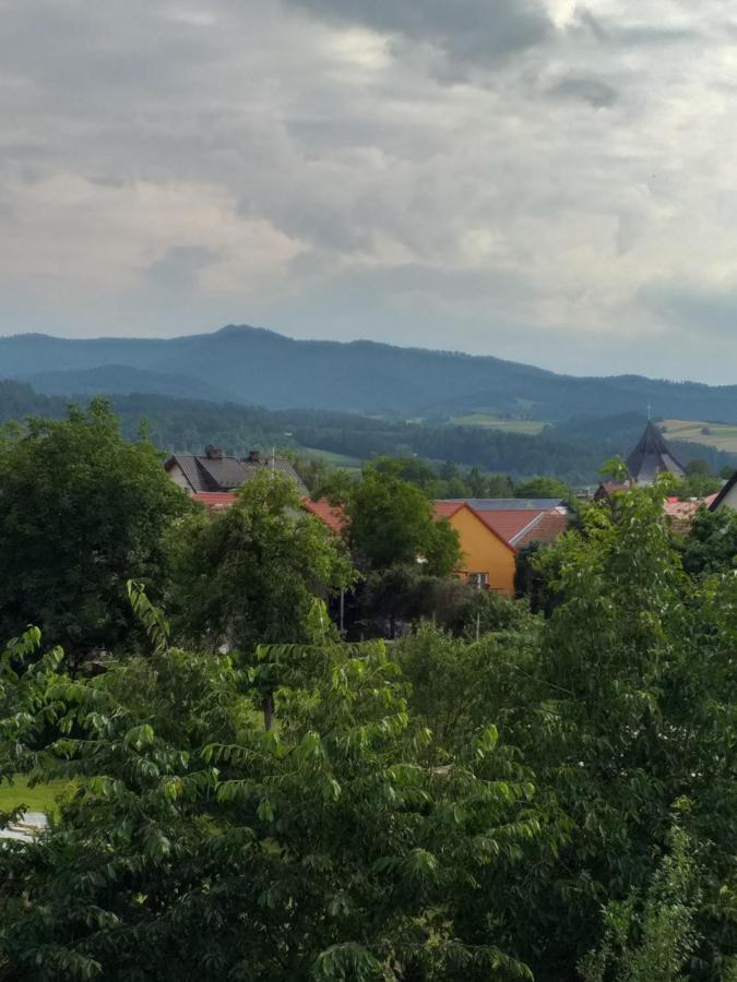 Domek Pod Przehyba - Pokoje Golkowice Dolne Exterior foto